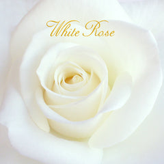White Rose