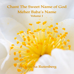Volume 1: Chant The Sweet Name of God