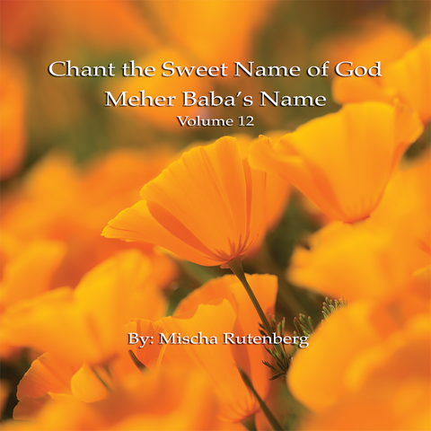 Volume 12: Chant The Sweet Name of God