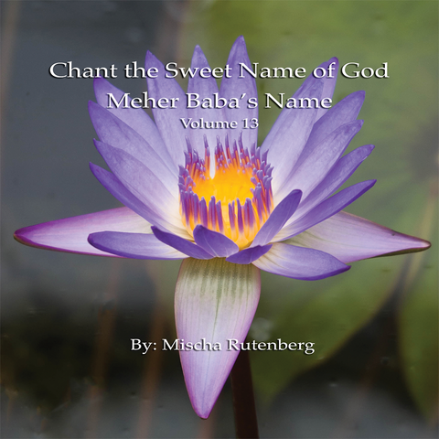 Volume 13: Chant The Sweet Name of God