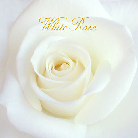 White Rose