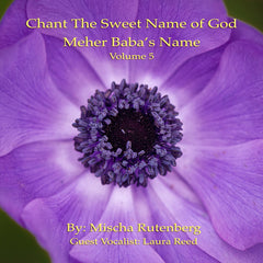 Chant The Sweet Name of God: Volume 5